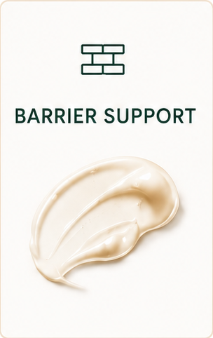 Barrier Support